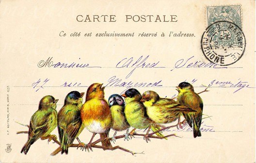 старинная открытка винтаж птички